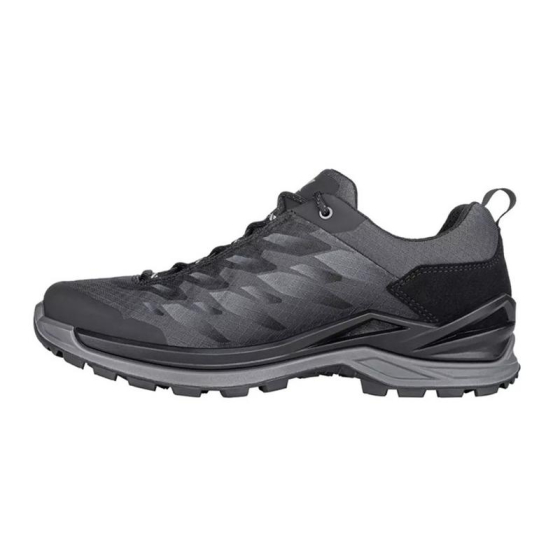 FERROX GTX LO